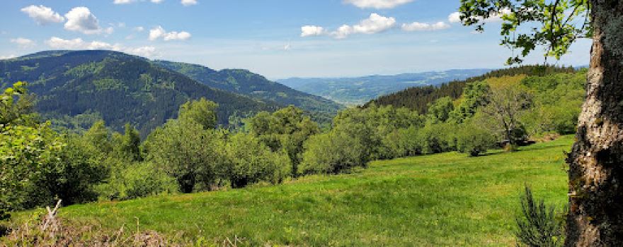 Prechtaler Schanze-Ecklesberg