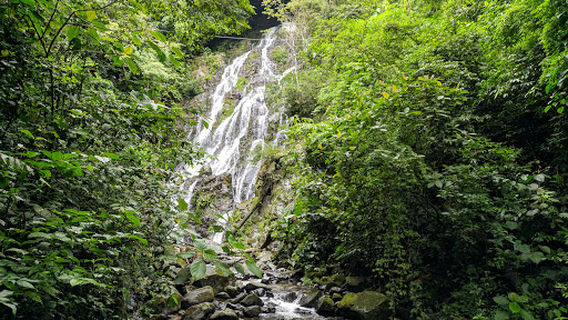 El Valle de Anton