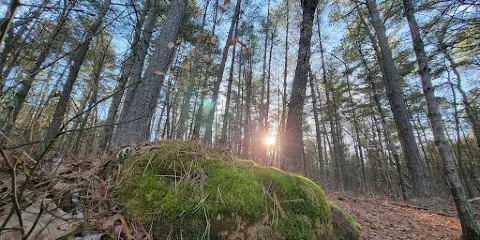 Black Farm State Management Area