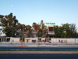 Falkata