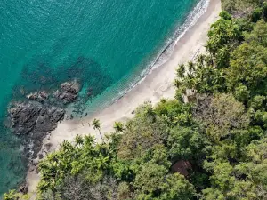 Los Vivos Beachfront Experience
