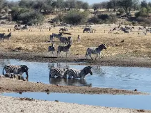 Makgadikgadi Pans National Park