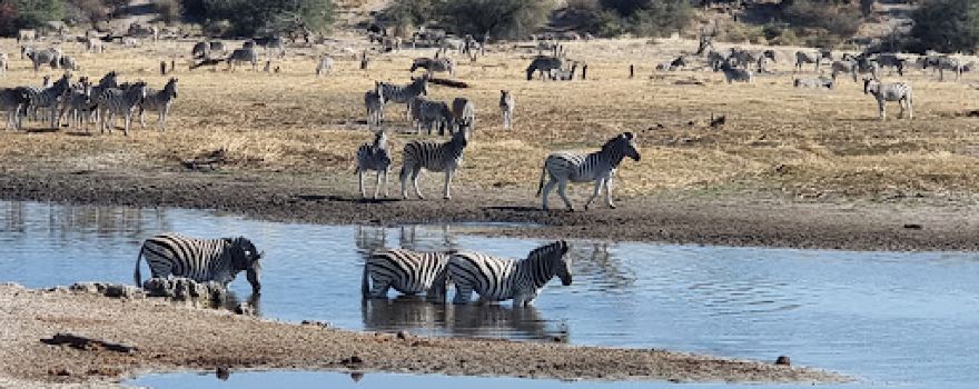 Makgadikgadi Pans National Park