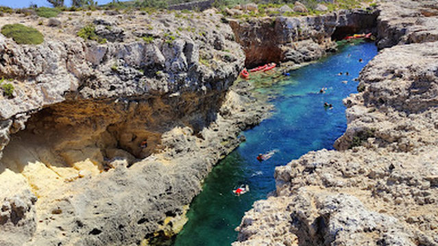 Comino Plus Boat Charters
