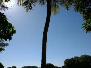 San Vicente Park