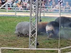 Hebron Harvest Fair