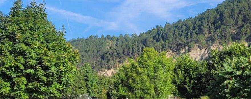 Camping de la Condamine