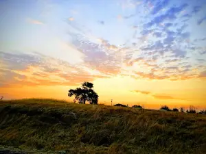 Camanche Hills Hunting Preserve