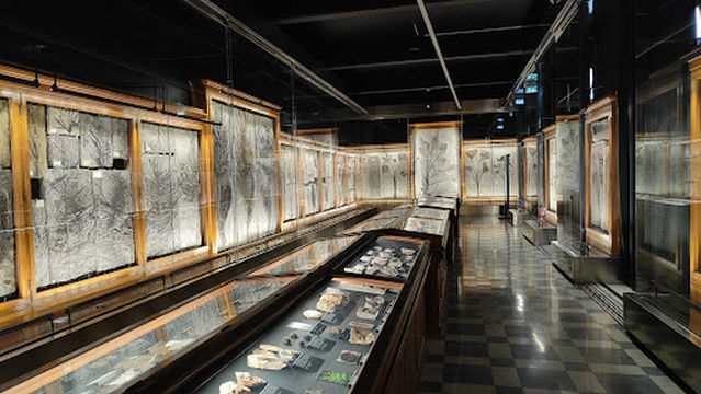 Museo della Natura e dell'Uomo