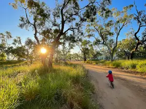 Boulia Free Camping site