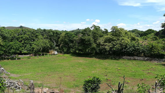 Finca Ecoturística Tin Tin