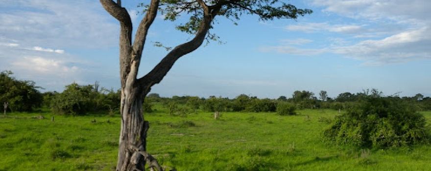 Headquarters -- South Luangwa National Park