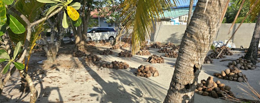 Maalhos Harbor