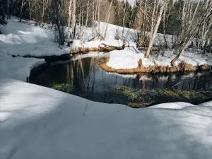 Tilleoru matkarada