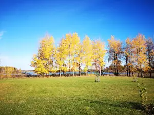 Ockelbo Camping
