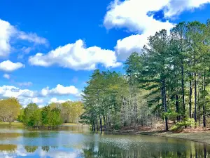 Jellystone Park - Cochran, GA