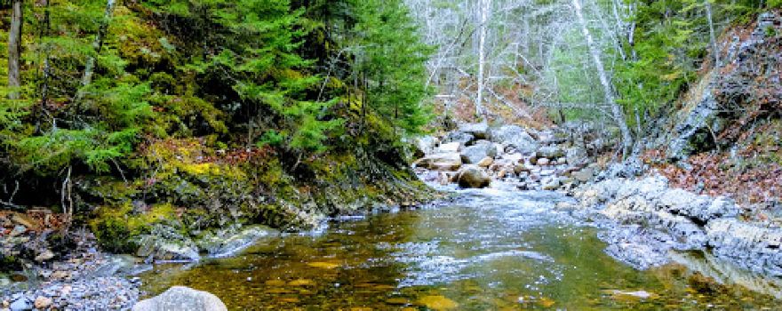 Cunningham Creek Falls