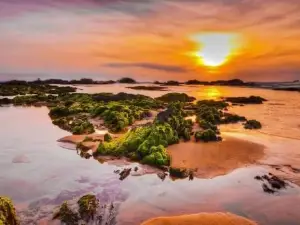 Biển LỘ DIÊU