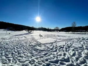 Ale Golf Club