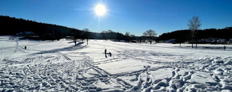 Ale Golf Club