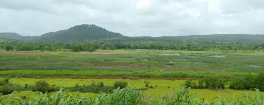 Navjeevan Gram Vikas Mandal Saphale Gaon