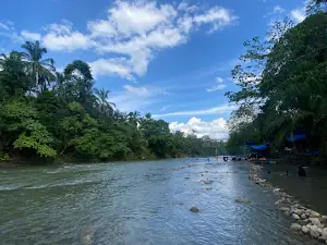 Kuala panggoh