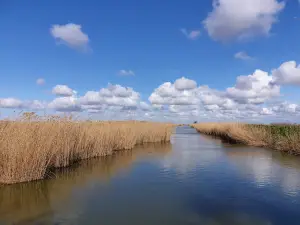 Priazovsky State Nature Reserve