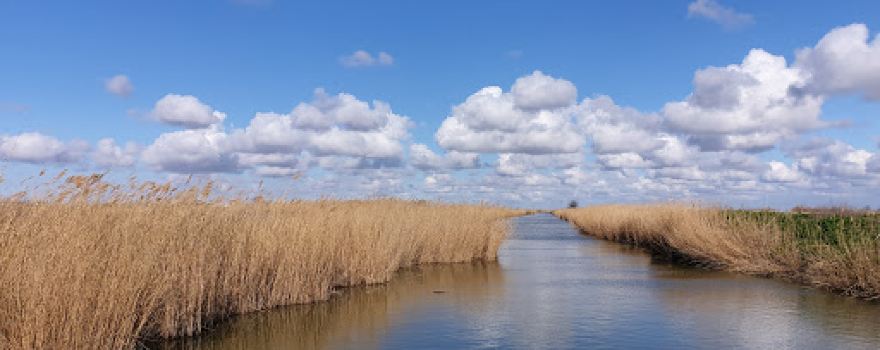 Priazovsky State Nature Reserve