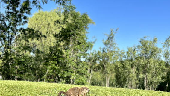 Pewaukee Golf Club