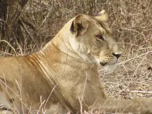 Noloholo Environmental Center