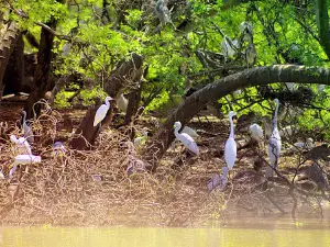 Taman Burung Sukamandi