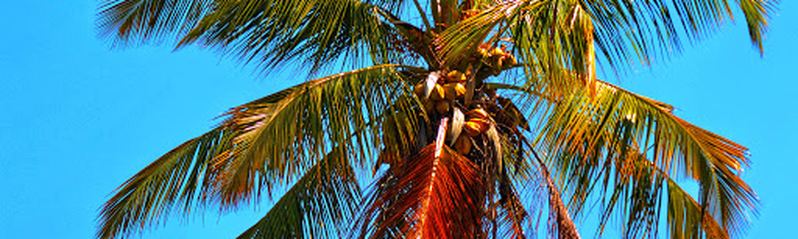 BudalangiThẻ SIM & Wifi