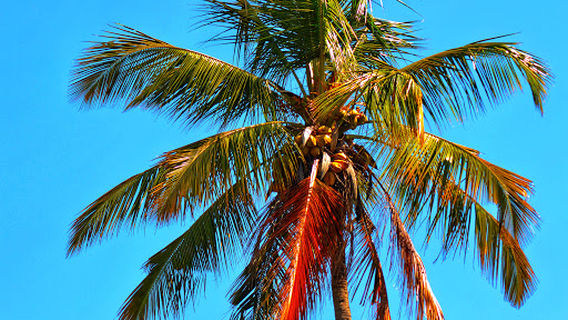 Villagio de Bumadeya