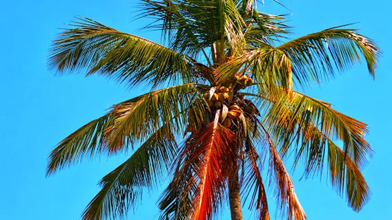 Villagio de Bumadeya