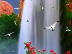 Public garden