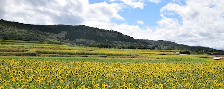 Nagasakihana Todai Park