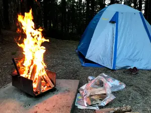Point Wolfe Campground