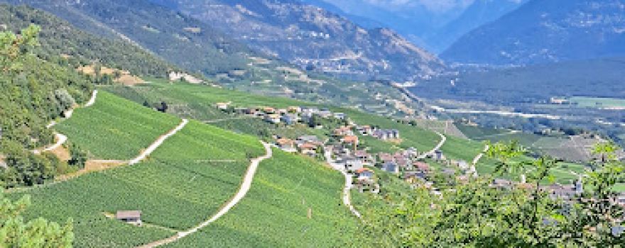 Bisse Neuf