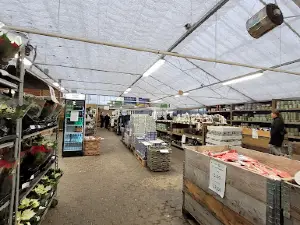 Billigblomst Næstved