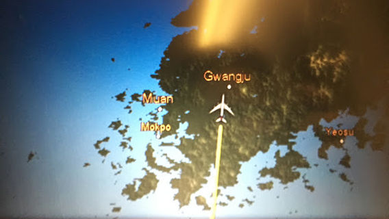 Asiana Airlines