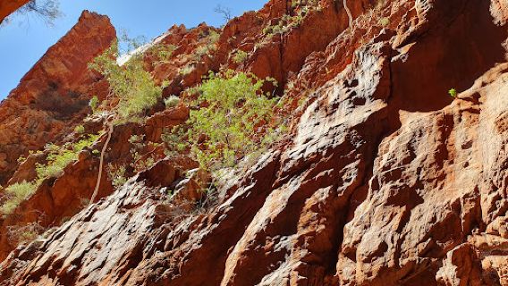 Standley Chasm