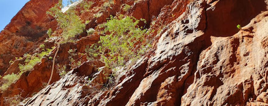 Standley Chasm