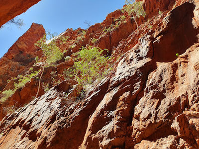 Standley Chasm