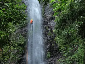 DESA WISATA TANALUM