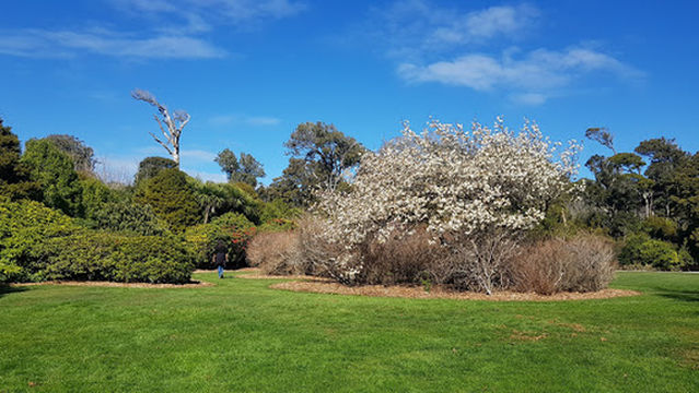 Anderson Park Art Gallery Inc