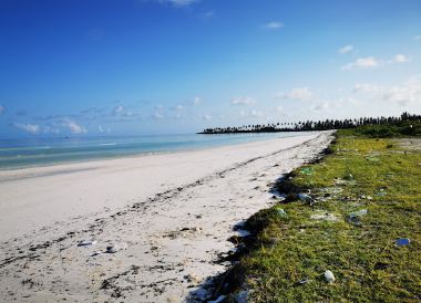 Kadhdhoo