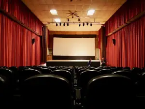 Ava TrueView Family Theater