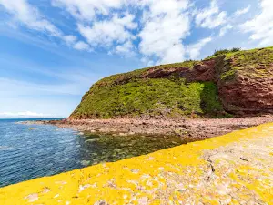 Pennan Harbour