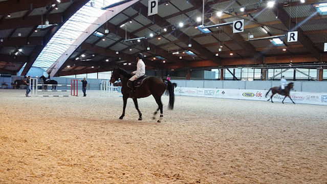 Exhibition Park of Saint-Etienne