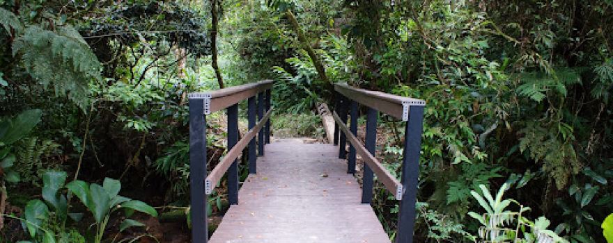Municipal park (Trail Pontinha)